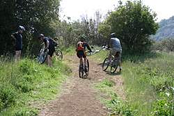 IMG_1094.jpg