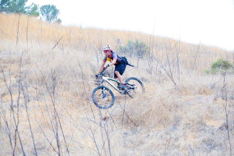 Trinity Wheeler-1971.jpg