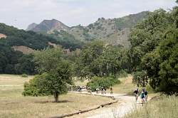 IMG_8433.jpg