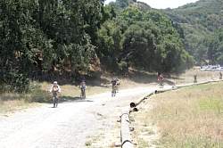 IMG_0142.jpg