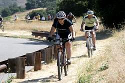 IMG_9429.jpg