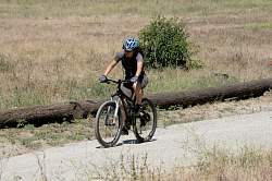 IMG_9818.jpg