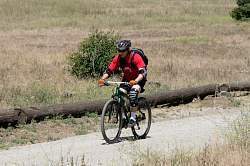 IMG_9819.jpg