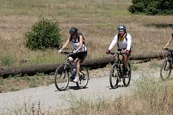 IMG_9836.jpg